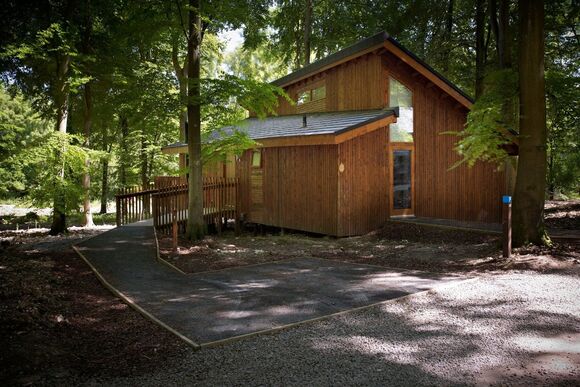Silver Birch at Blackwood Forest - a wheelchair-adapted lodge in Hampshire