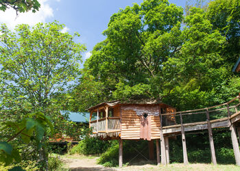 Classic Golden Oak Treehouse in Deerpark