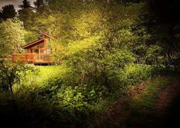 Golden Oak Hideaway at Thorpe Forest