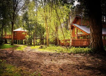 Golden Oak Treehouse at Thorpe Forest