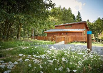 Silver Birch Cabin at Thorpe Forest (Wheelchair-adapted)