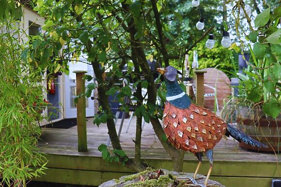 The Pheasant