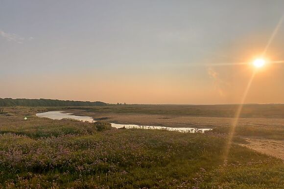 Saltmarsh Hut