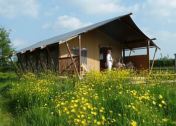Tall Trees Glamping