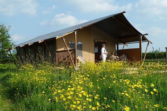 Tall Trees Glamping