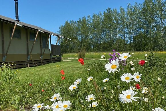 Tall Trees Glamping