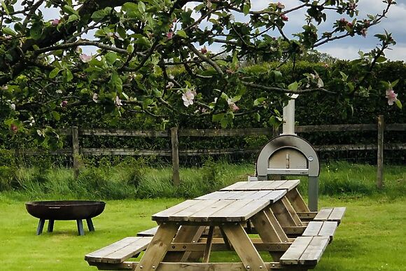 Tall Trees Glamping