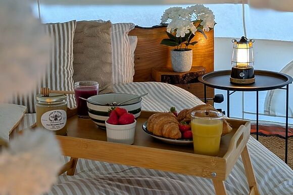 The Paddock