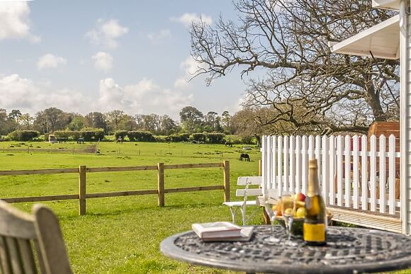 The Cricket Pavilion