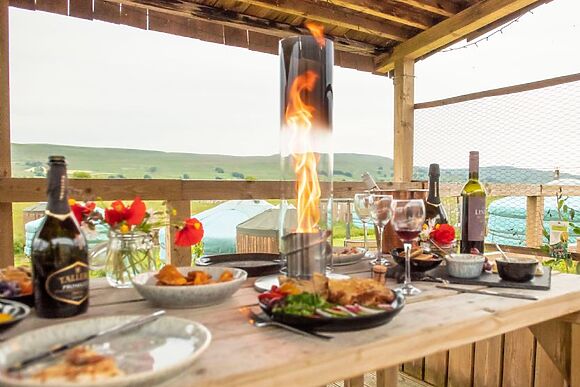Lapwing