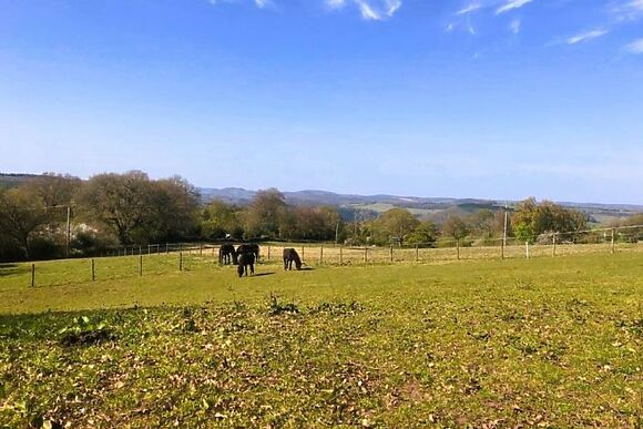 Wye Valley Gypsy Caravan