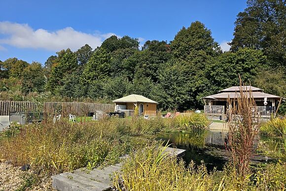 Giraffe Enclosure