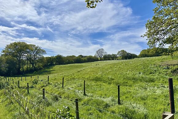 Melbury Hut
