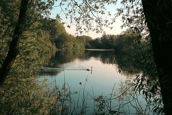 Lakeside Lodges