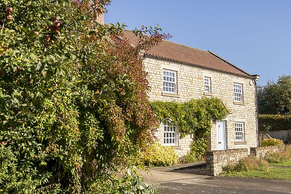 Saxon House