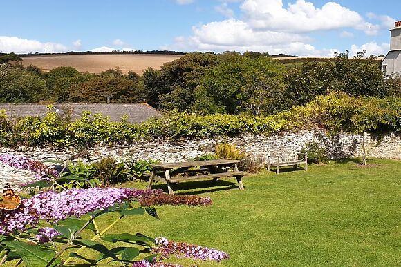 Ferndale Treetops View