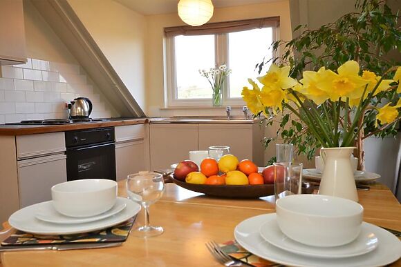 Ferndale Treetops View