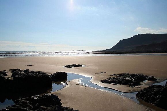 Ferndale Treetops View