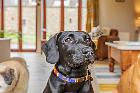 Little Pear Tree Barn