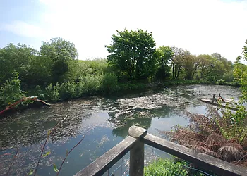 Large enclosed pond perfect for fishing
