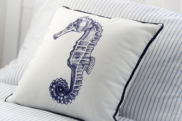 Bryn Rhosyn, 10 Cae Du