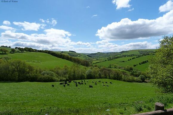 Ysgubor y Mynydd