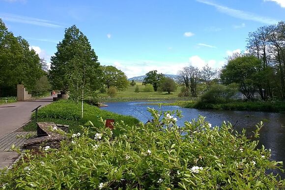 Bramble Cottage - Mountain Retreat
