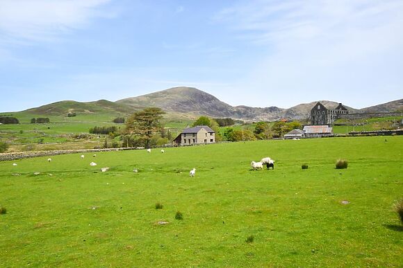 Bryn Ystrad Llyn