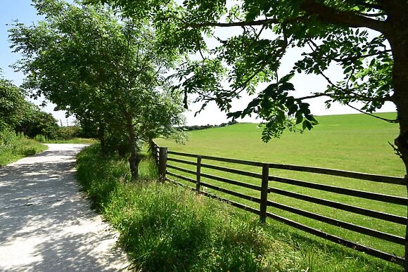 Shebberton Summer Folly