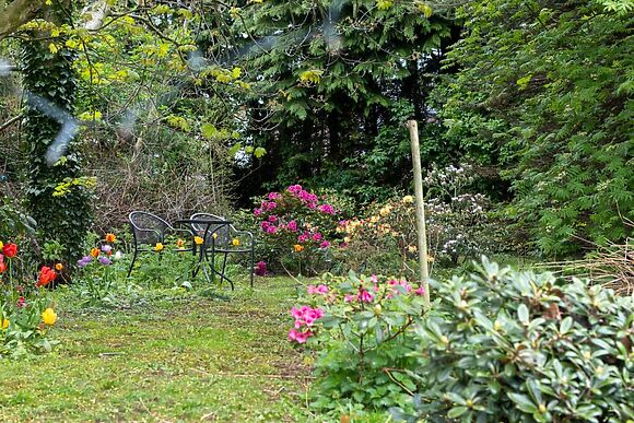 Monkey Puzzle Retreat