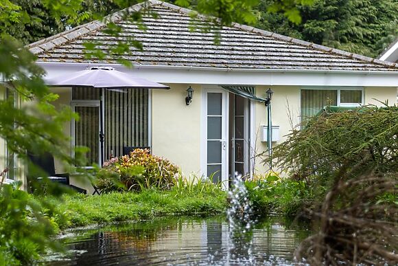 Monkey Puzzle Retreat