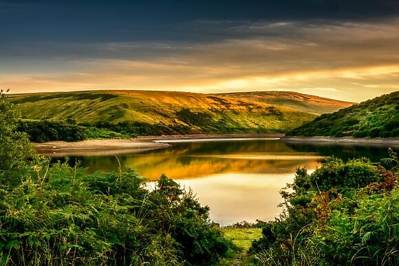 The Retreat At Waytown