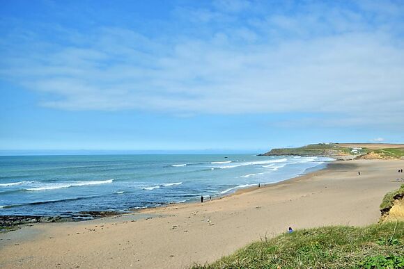 Bude Garden House