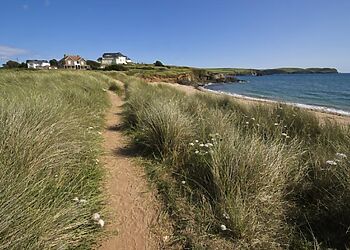 Large House for 14 in Slapton