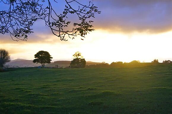 Bryn Eithin Bach Bwthyn Clychaur Gog