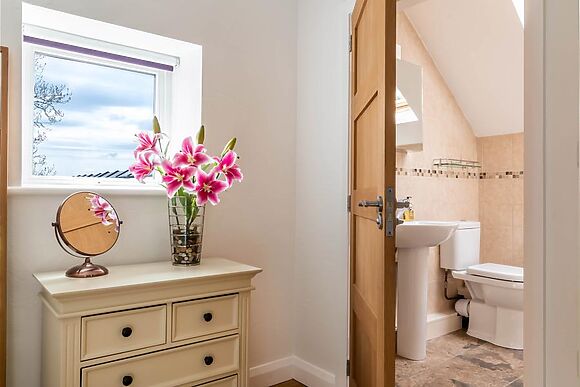 Bryn Eithin Bach Bwthyn Clychaur Gog