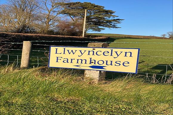 Llwyncelyn