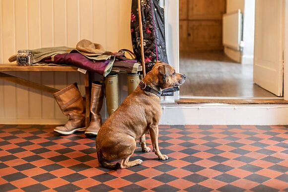 Puffin House At Blegberry