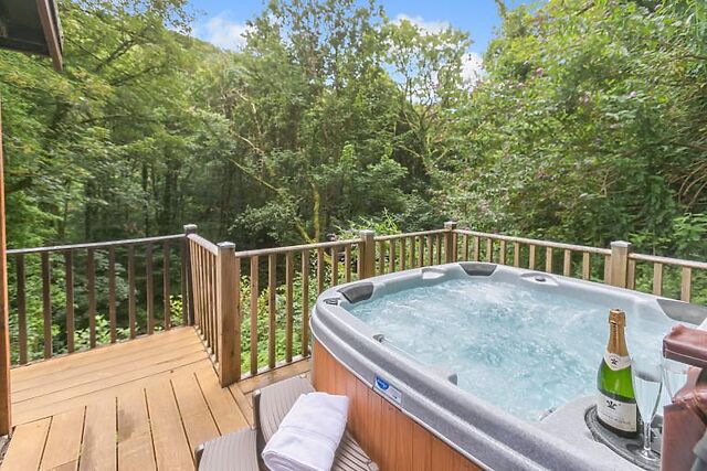 Hidden Haven Sunny Lyn