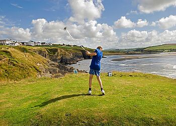 Ty Llew Tresaith