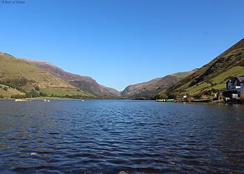 Granar Gynolwyn