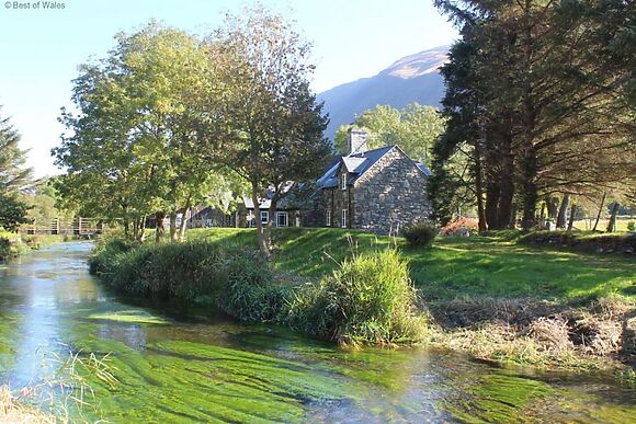 Granar Gynolwyn