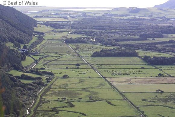 Granar Gynolwyn