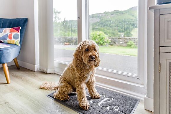 2-Bedroom Cottage in Chapel Stile