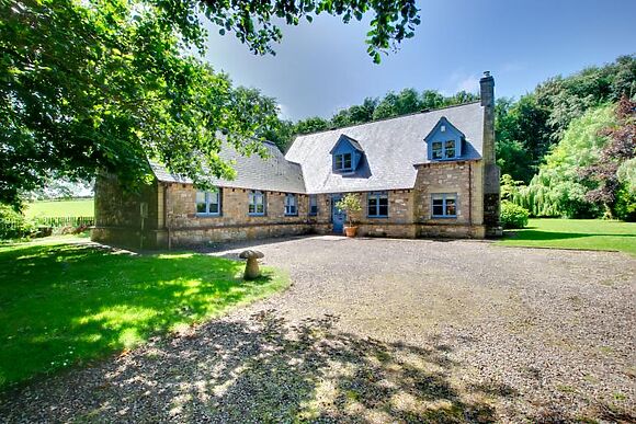 Blue Poppy House