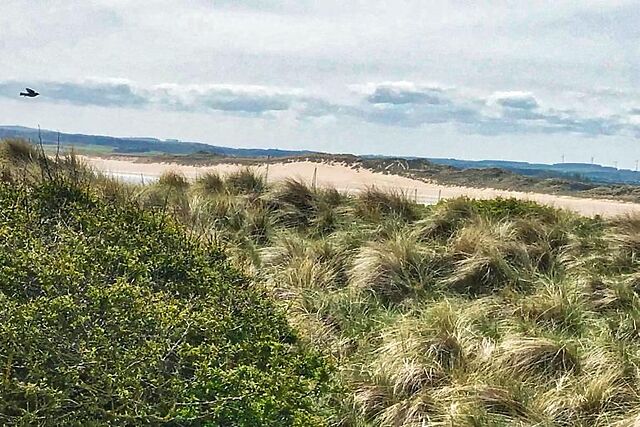5-Bedroom Hot Tub Cottage in Beadnell