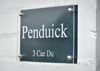 Penduick
