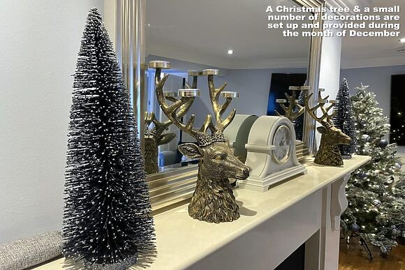 Old Cottage & The Log Cabin