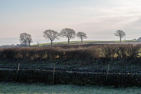 Elm Croft