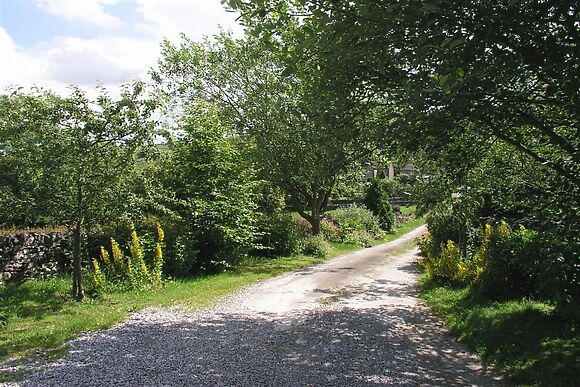 Croft